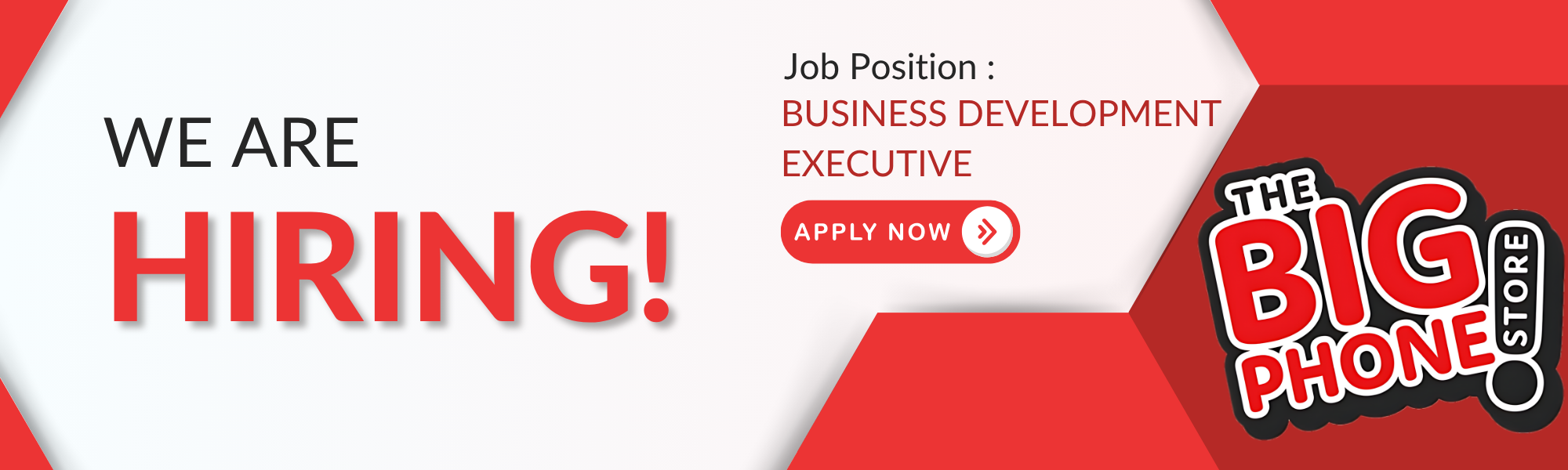 Business development executive