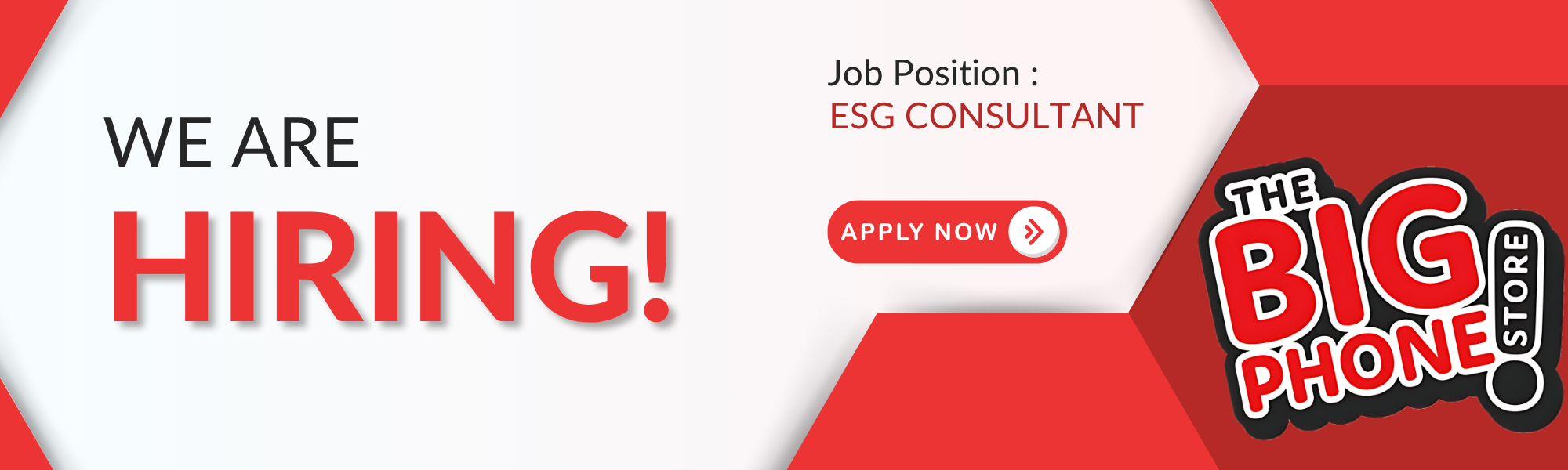 Esg & sustainability consultant
